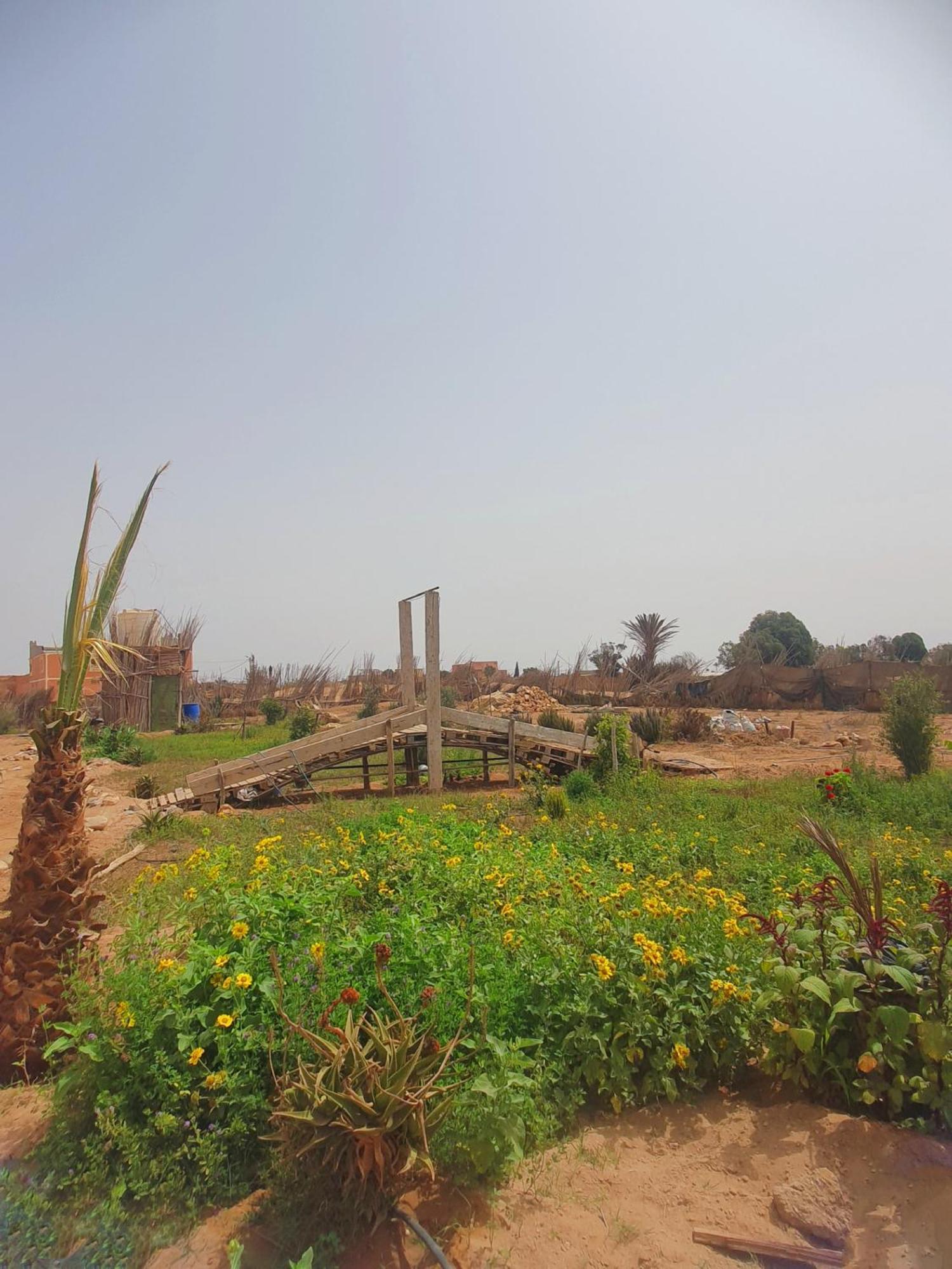 L'Experience Berbere Villa Agadir Ngoại thất bức ảnh